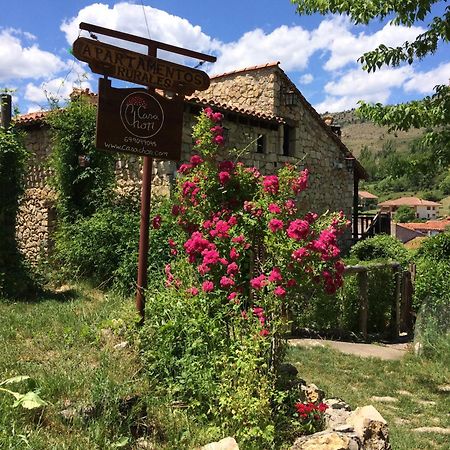 Casas Rurales Chon Alto Tajo Пералехос-де-лас-Тручас Екстер'єр фото