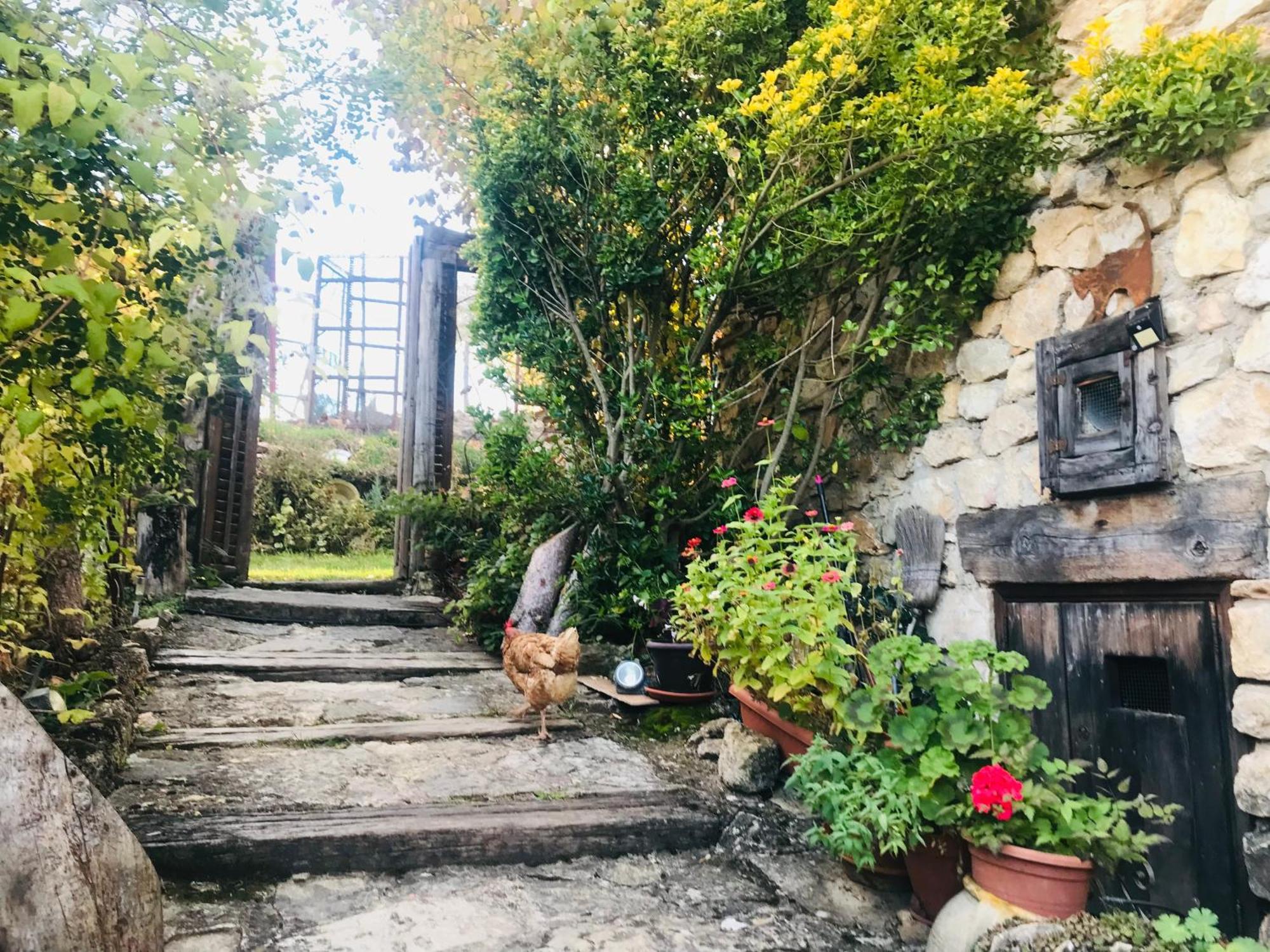 Casas Rurales Chon Alto Tajo Пералехос-де-лас-Тручас Екстер'єр фото