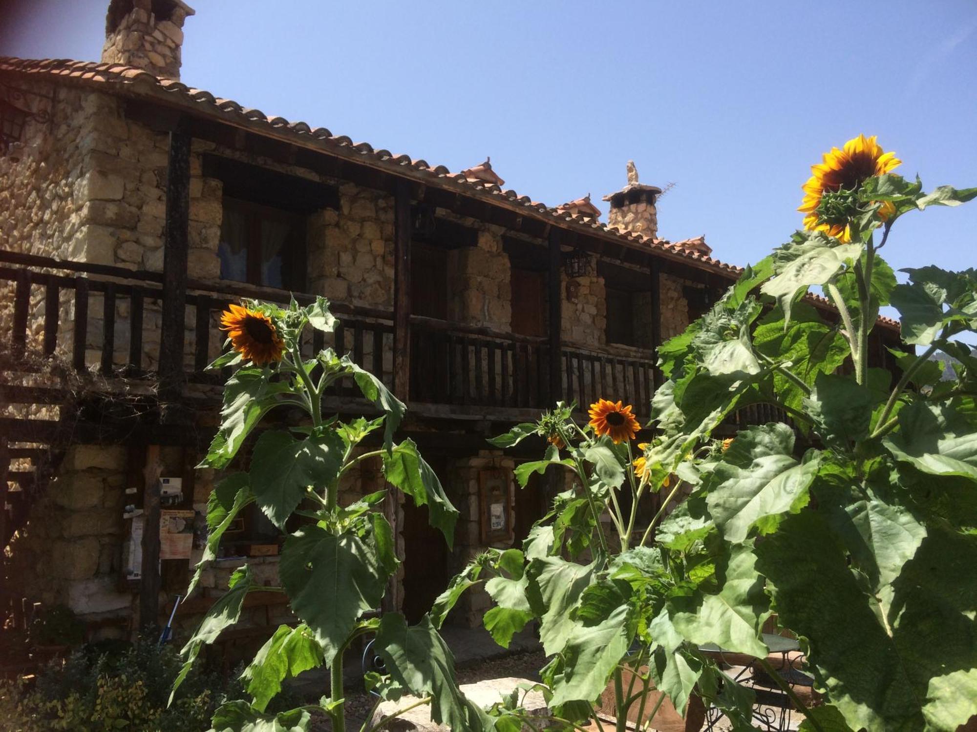 Casas Rurales Chon Alto Tajo Пералехос-де-лас-Тручас Екстер'єр фото